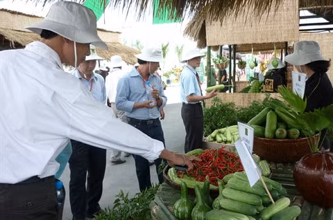Expansion des superficies de production agricole high-tech à Hô Chi Minh-Ville ảnh 1