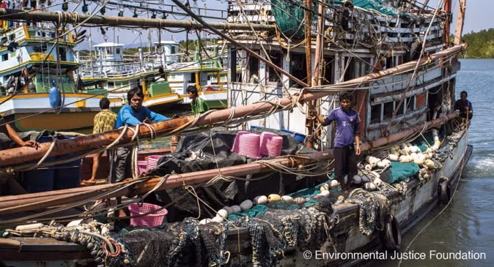 Pêche : la Commission européenne retire son « carton jaune » à la Thaïlande ảnh 1