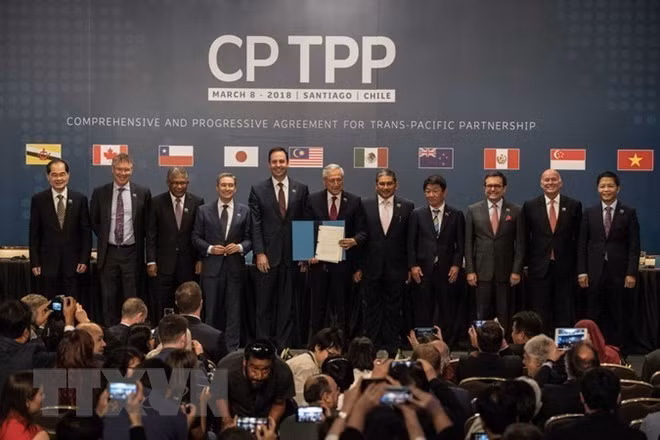 Le CPTPP prend effet au Vietnam, l’enjeu est multiple ảnh 1