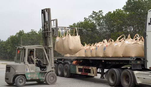 Exportations de 19,5 millions de tonnes de ciment et clinker en 7 mois ảnh 1