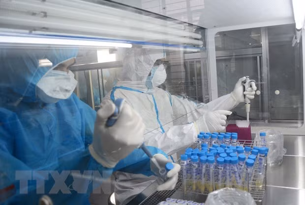 COVID-19 : le bilan s’élève à 847 cas confirmés ảnh 1