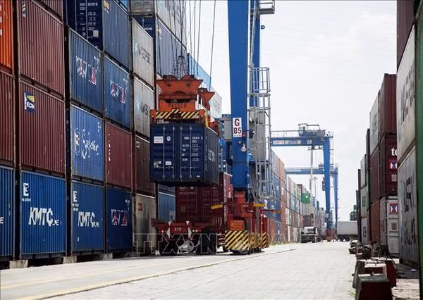 Le volume du fret via les ports maritimes du Vietnam rebondit en 10 mois ảnh 2