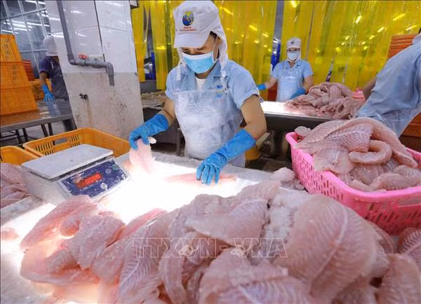 Les exportations des produits aquatiques devraient atteindre 10 milliards d'USD cette année ảnh 2