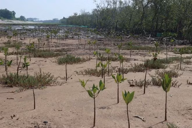 La communauté internationale apprécie les engagements du Vietnam en faveur des actions climatiques ảnh 2
