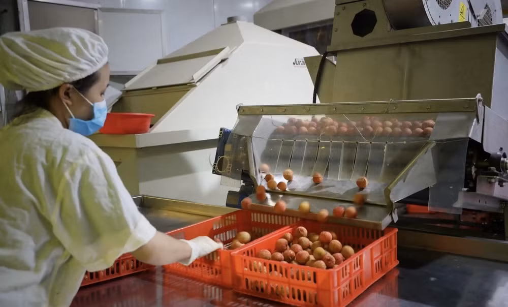 De nombreuses opportunités pour promouvoir la coopération commerciale Vietnam-Japon ảnh 1