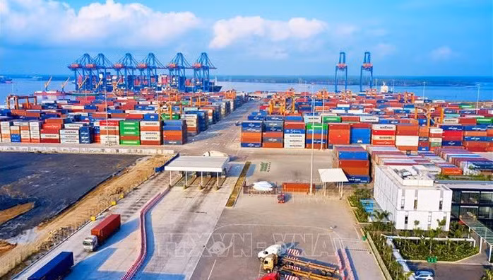 Les exportations retrouvent leur rythme de croissance ảnh 1