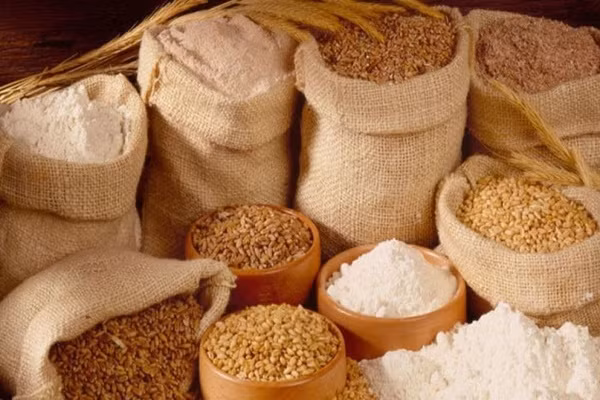 Le Vietnam importe pour plus de 4,27 milliards de dollars d'aliments pour animaux en dix mois ảnh 1 Le Vietnam importe pour plus de 4,27 milliards de dollars d'aliments pour animaux en dix mois ảnh 1