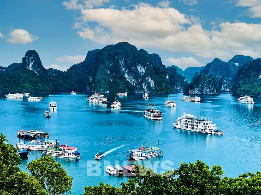 La région sud-coréenne de Chungcheong renforce sa coopération touristique avec Ha Long ảnh 1 La région sud-coréenne de Chungcheong renforce sa coopération touristique avec Ha Long ảnh 1