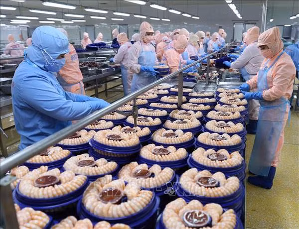 Les exportations des produits aquatiques devraient atteindre 10 milliards d'USD cette année ảnh 1