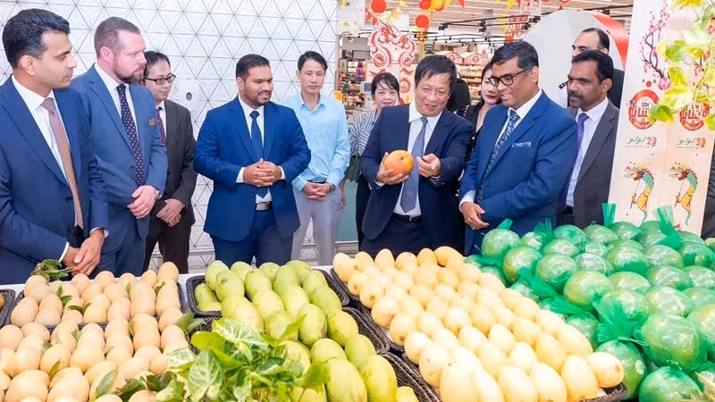 La participation du PM vietnamien à la COP 28 aux EAUX : opportunité de renforcer la coopération bilatérale ảnh 2