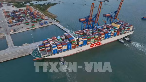 Le volume du fret via les ports maritimes du Vietnam rebondit en 10 mois ảnh 1
