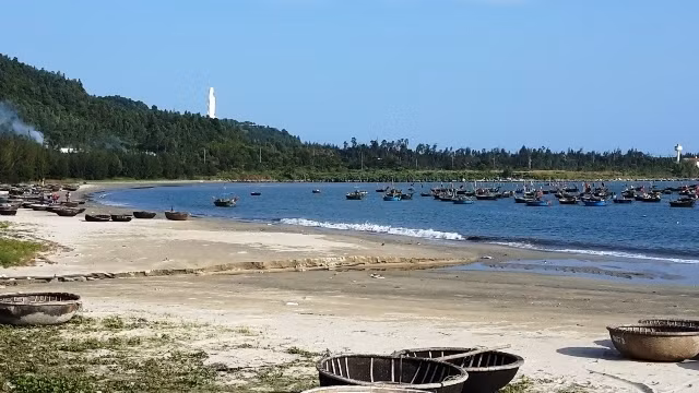 Pour protéger les écosystèmes forestiers et côtiers de la ville de Dà Nang ảnh 1