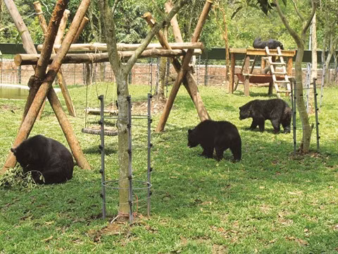 L’érosion de la biodiversité doit être stoppée en urgence ảnh 2