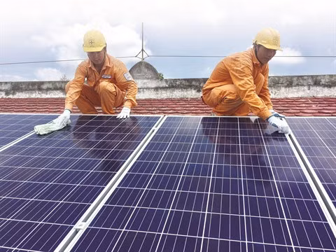 Comment la Belgique soutient la stratégie vietnamienne de croissance verte ảnh 2