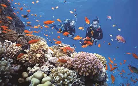 Khanh Hoà met le cap sur le tourisme maritime ảnh 2