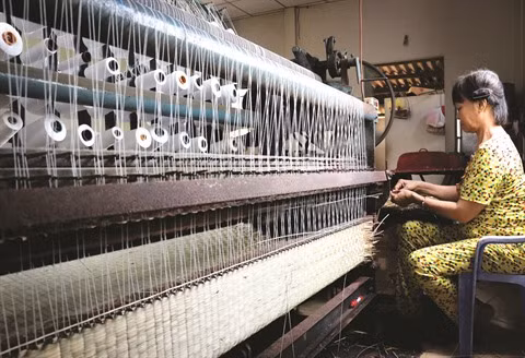 Thanh Hoa développe durablement ses villages de métiers ảnh 2