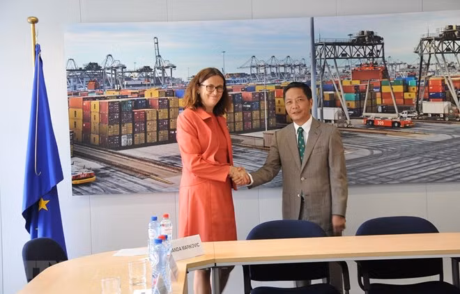 L’EVFTA assure l’équilibre des intérêts du Vietnam et de l’UE ảnh 1