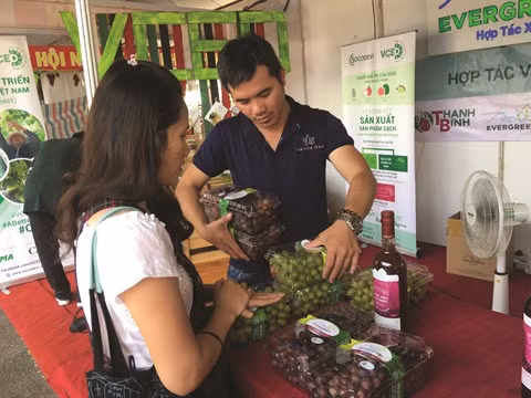 Les vignerons de Ninh Thuân misent sur la qualité ảnh 2