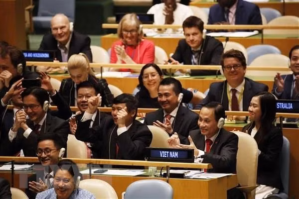 Le Vietnam bien placé pour remplir son rôle au Conseil de sécurité ảnh 1