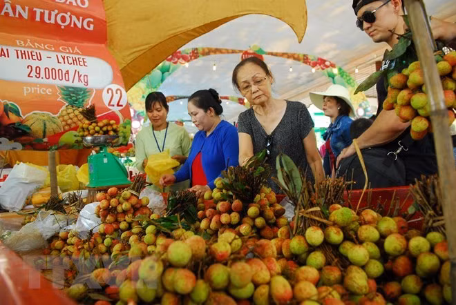 Ouverture de la Fête des fruits du Nam Bô à Hô Chi Minh-Ville ảnh 1