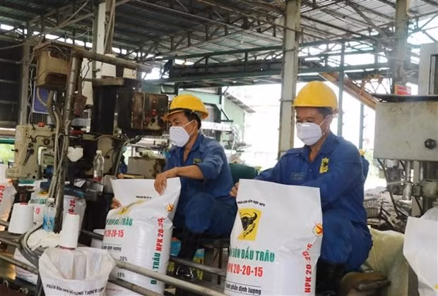 Les exportations d'engrais en janvier en hausse de 682% ảnh 1