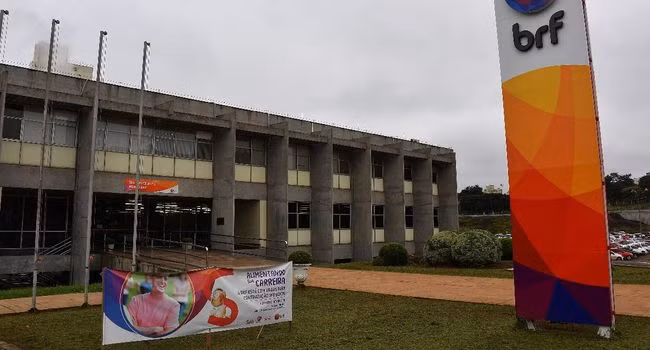 Le Vietnam suspend les importations de viande brésilienne ảnh 1