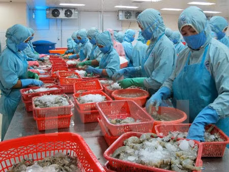 Le Vietnam table sur 10 mds de dollars d’exportations de crevettes ảnh 1