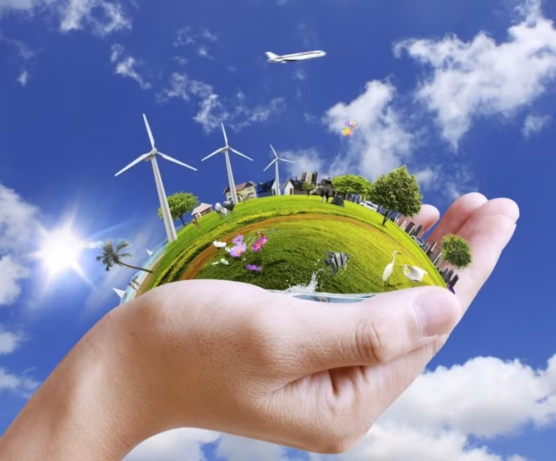 Diverses activités en écho à la Journée internationale de l’Environnement 2018 ảnh 1