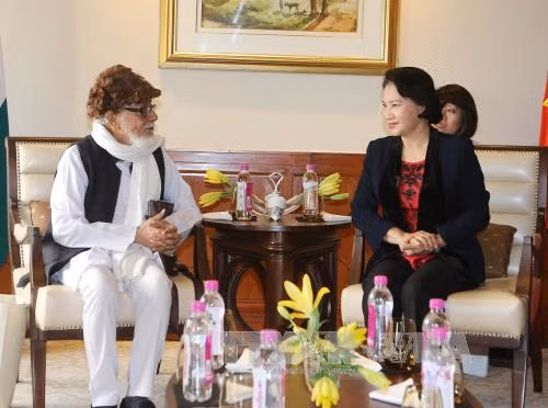 Vietnam-Inde: Intensifier la solidarité entre les deux peuples ảnh 1