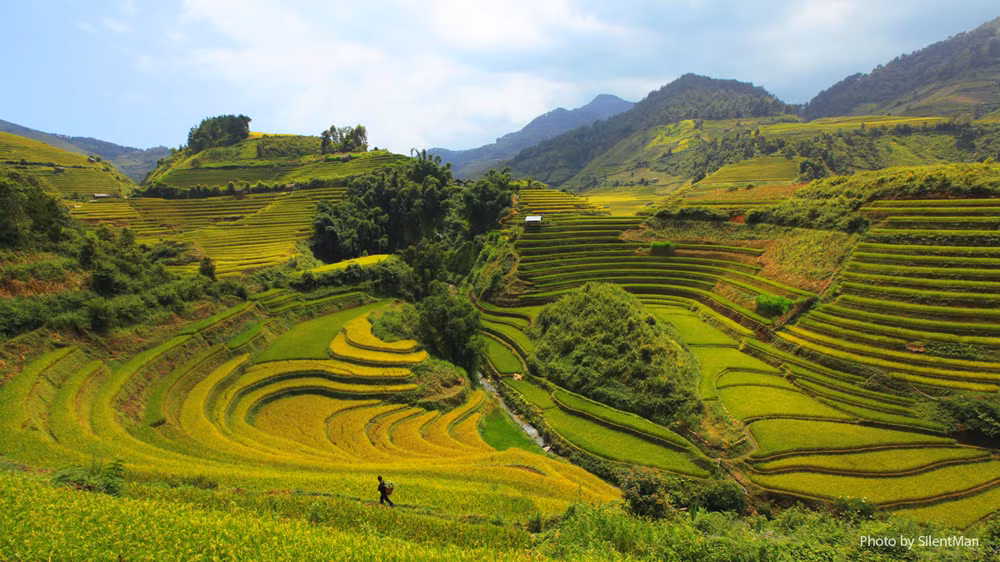 Homestay aux alentours de la Réserve nationale de Pu Luông ảnh 2