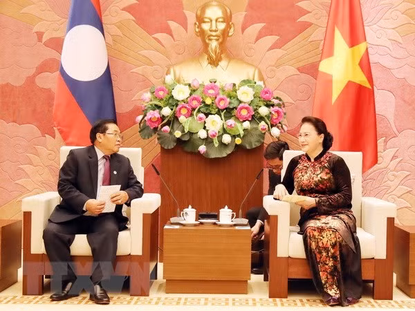 Le Vietnam veut renforcer ses liens législatifs avec le Laos ảnh 1