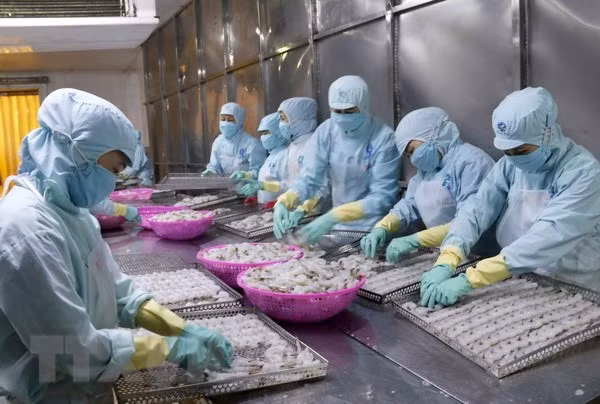 Exportations de produits aquatiques en forte hausse au 1er semestre ảnh 1