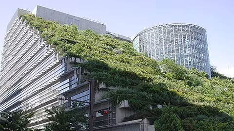 Le Vietnam aussi adopte le leadership en conception énergétique et environnementale ảnh 1