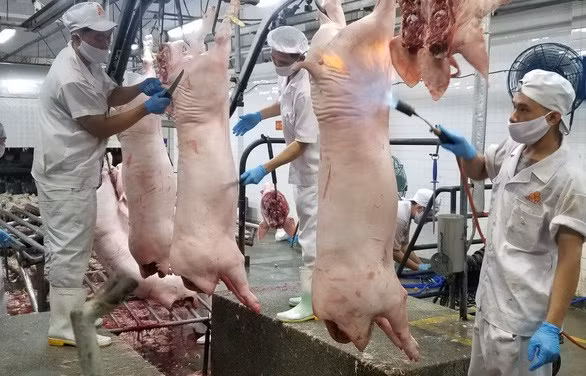 Le PM demande de renforcer des mesures à stabiliser le prix du porc ảnh 1