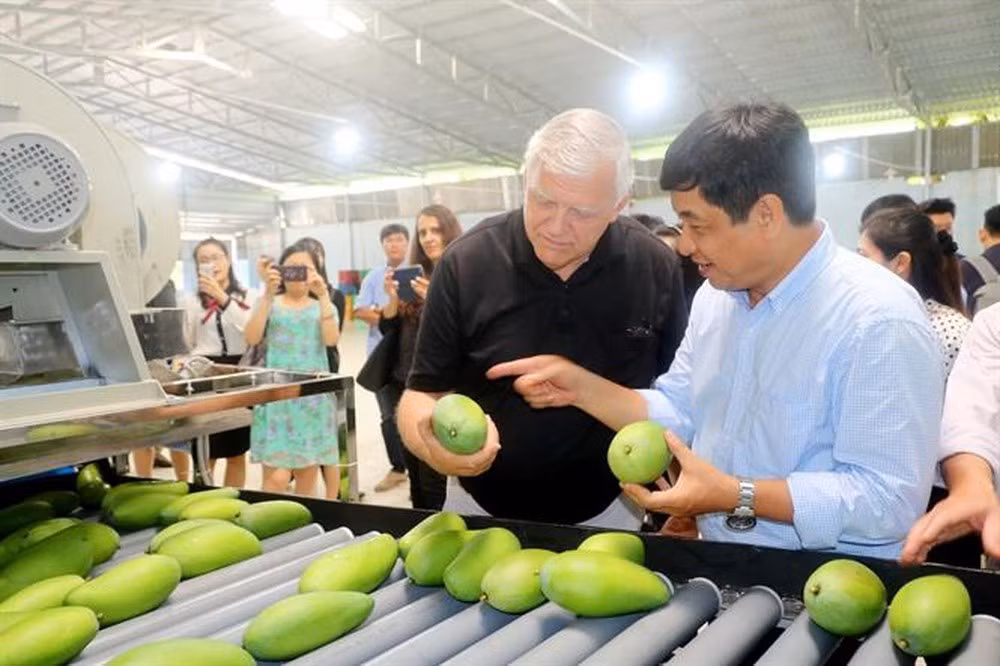 Les exportations de fruits et légumes en baisse de 9,9% sur deux mois ảnh 1