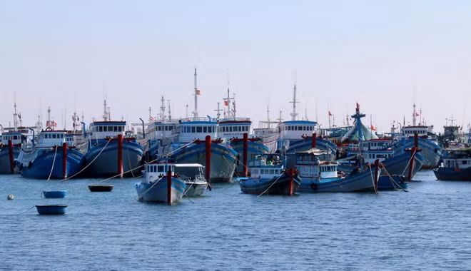 L’économie maritime contribue 10% du PIB national ảnh 1 L’économie maritime contribue 10% du PIB national ảnh 1