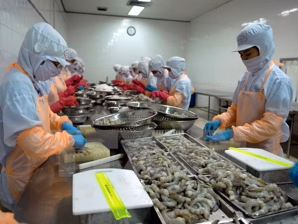 La filière crevetticole fixe l’objectif d’exportation de 4,2 milliards de dollars en 2019 ảnh 1