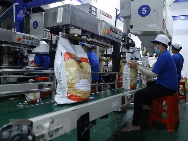Promotion des exportations nationales de riz en Chine ảnh 1