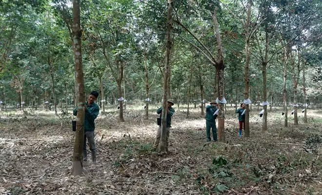Le Vietnam investit dans 190 projets au Cambodge ảnh 1 Le Vietnam investit dans 190 projets au Cambodge ảnh 1