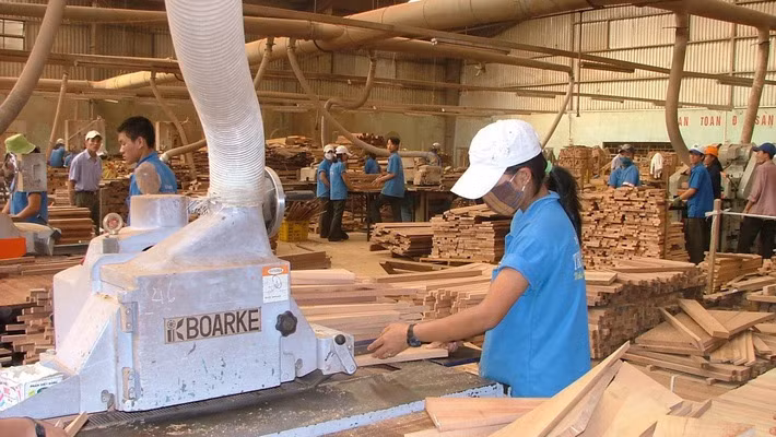 De belles perspectives pour les exportations de bois en 2019 ảnh 1