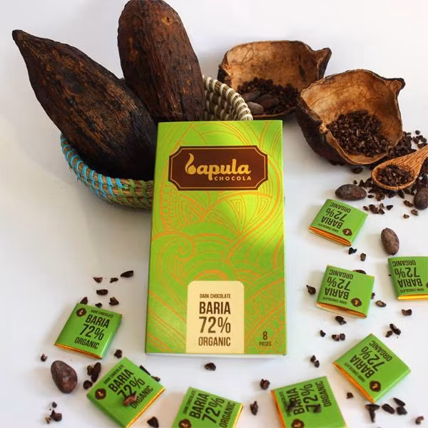 Le chocolat organique vietnamien sera exporté au Japon ảnh 1