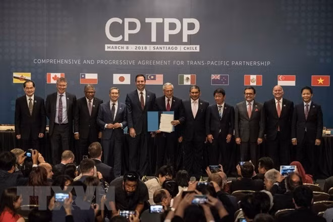 L’entrée en vigueur du CPTPP contribue à la promotion du libre-échange mondial ảnh 1 L’entrée en vigueur du CPTPP contribue à la promotion du libre-échange mondial ảnh 1