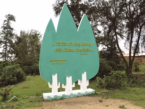  Trà Cô et le cap Sa Vi, l’extrémité Nord-Est du Vietnam ảnh 1