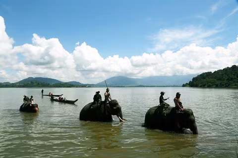 À la découverte du lac Lak ảnh 1 À la découverte du lac Lak ảnh 1