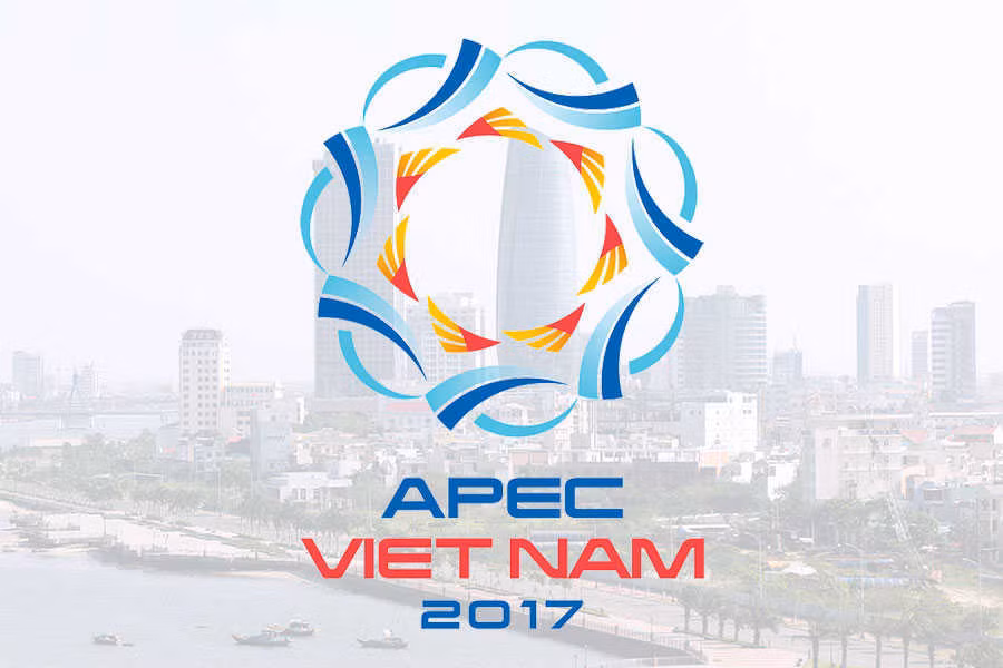 APEC 2017 : la Russie soutient les priorités du Vietnam ảnh 1