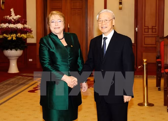 Le Vietnam souhaite stimuler les relations de coopération multiforme avec le Chili ảnh 1