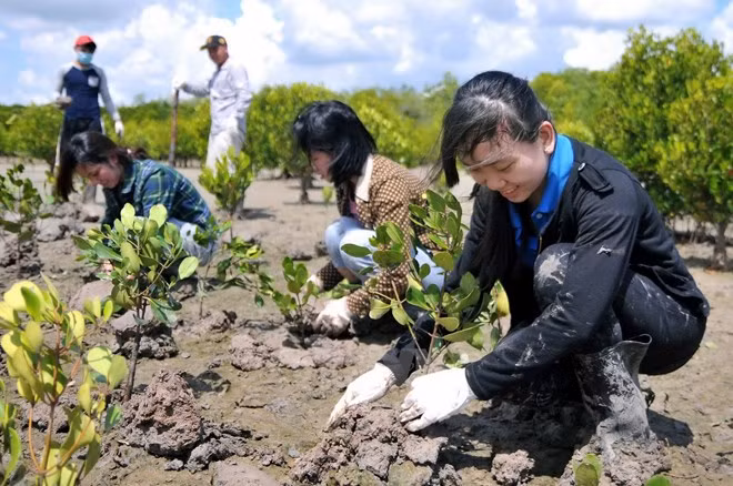 Le Vietnam partage ses expériences sur la recherche et le sauvetage ảnh 2 Le Vietnam partage ses expériences sur la recherche et le sauvetage ảnh 2