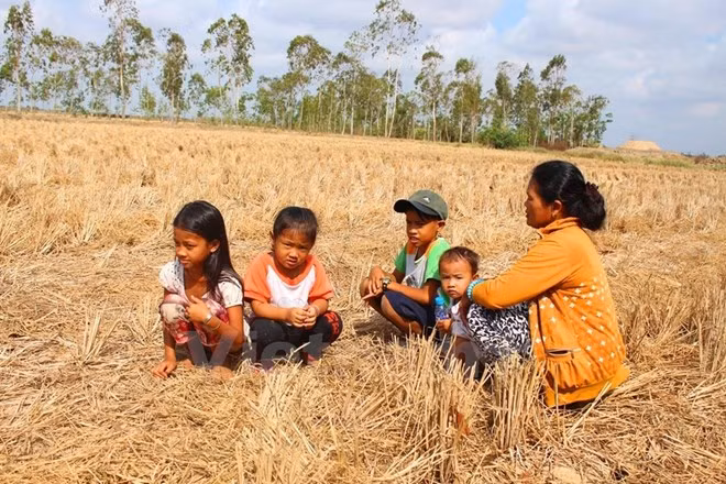 El Nino : accélération des procédures pour accéder à l’aide de la BAD ảnh 1