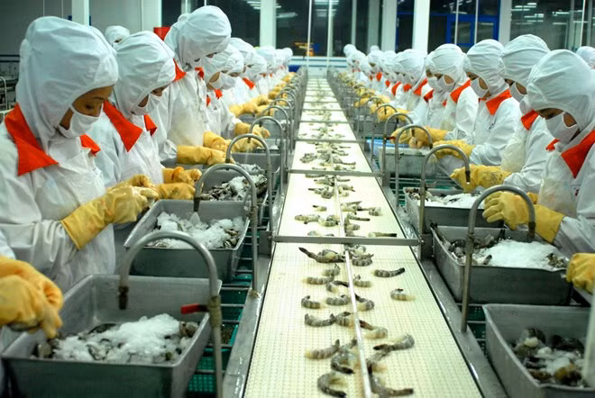Aquaculture : plus de 3 milliards de dollars d'exportations au premier semestre ảnh 1