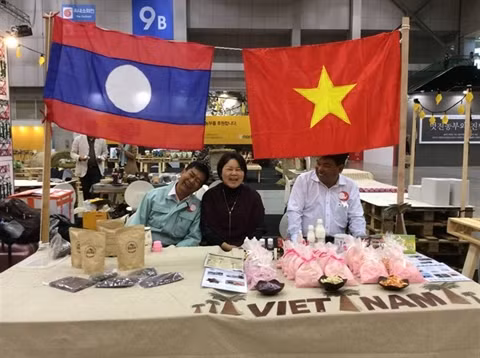 La Japonaise Ino Mayu sème le grain et récolte le progrès ảnh 1